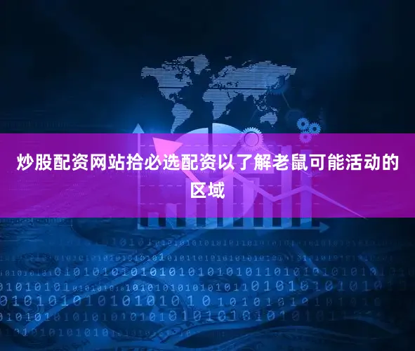 炒股配资网站拾必选配资以了解老鼠可能活动的区域