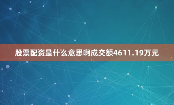 股票配资是什么意思啊成交额4611.19万元